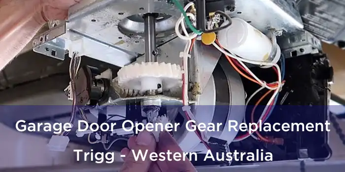 Garage Door Opener Gear Replacement Trigg - Western Australia