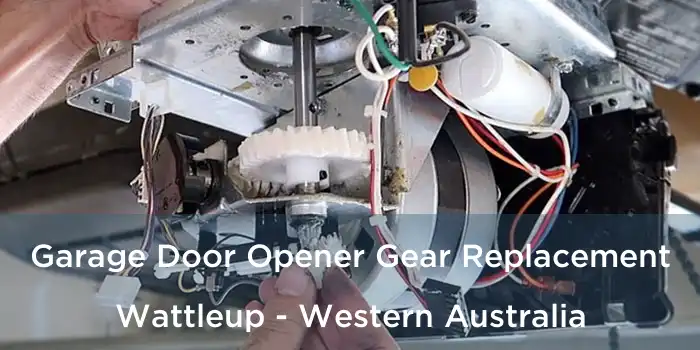 Garage Door Opener Gear Replacement Wattleup - Western Australia