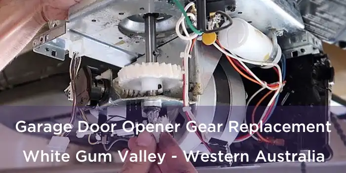 Garage Door Opener Gear Replacement White Gum Valley - Western Australia