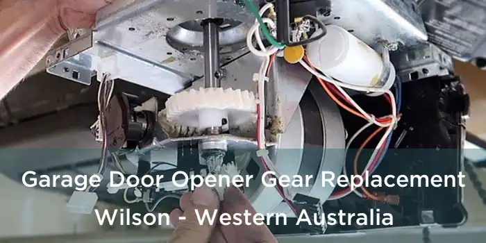 Garage Door Opener Gear Replacement Wilson - Western Australia