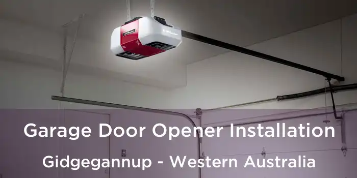 Garage Door Opener Installation Gidgegannup - Western Australia