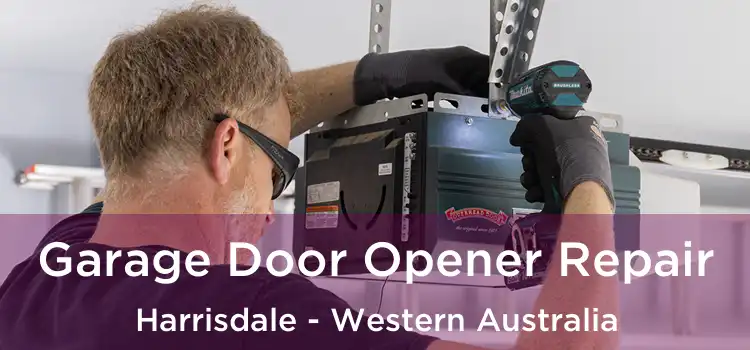 Garage Door Opener Repair Harrisdale - Western Australia