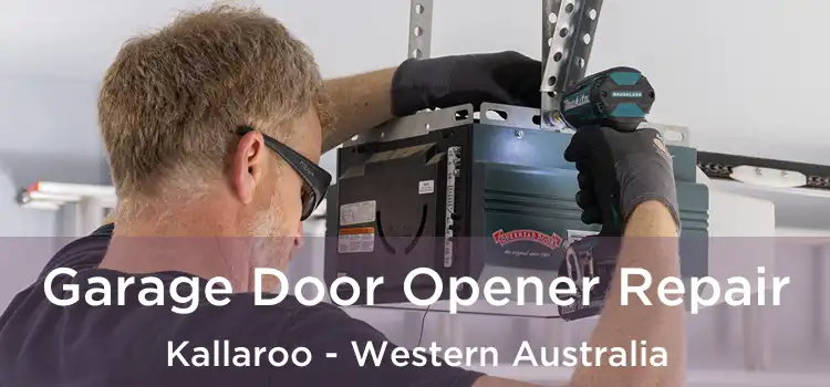 Garage Door Opener Repair Kallaroo - Western Australia
