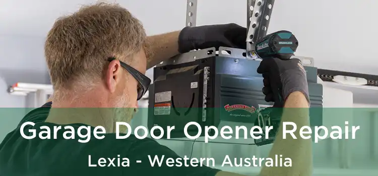 Garage Door Opener Repair Lexia - Western Australia