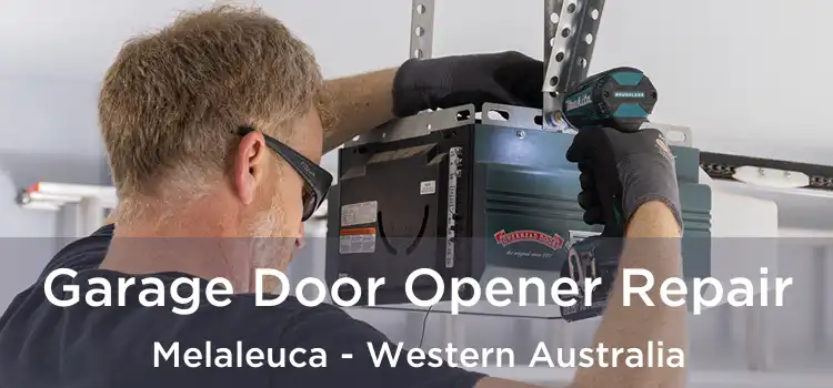 Garage Door Opener Repair Melaleuca - Western Australia