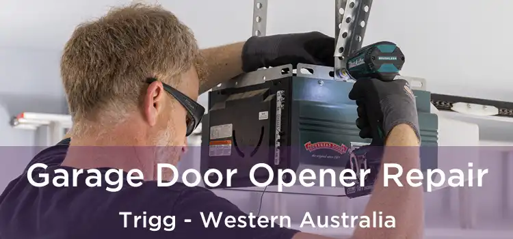 Garage Door Opener Repair Trigg - Western Australia