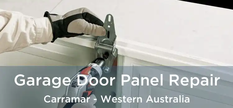 Garage Door Panel Repair Carramar - Western Australia