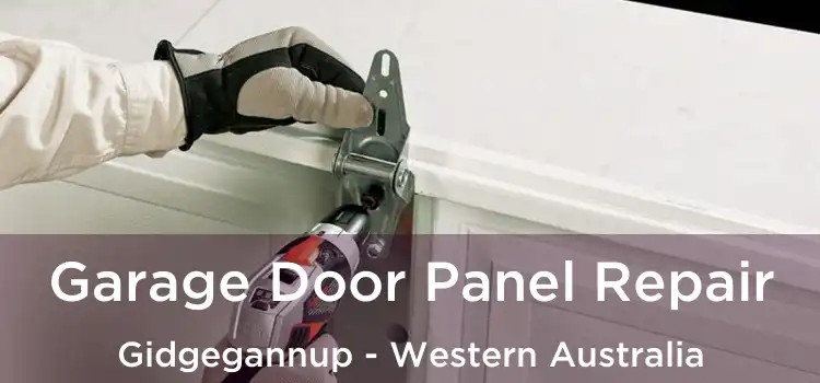 Garage Door Panel Repair Gidgegannup - Western Australia