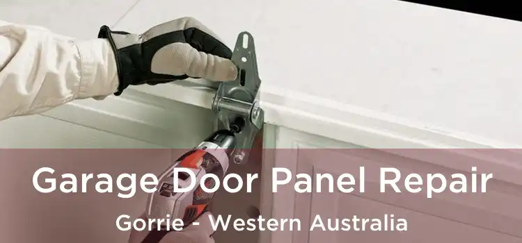 Garage Door Panel Repair Gorrie - Western Australia
