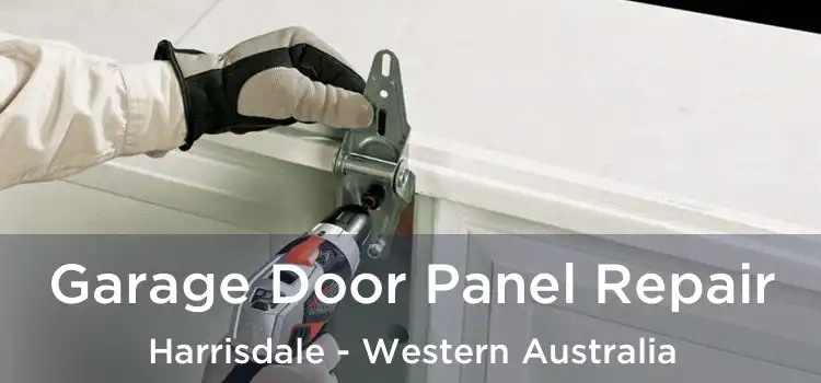 Garage Door Panel Repair Harrisdale - Western Australia