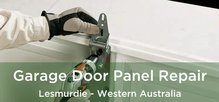 Garage Door Panel Repair Lesmurdie - Western Australia