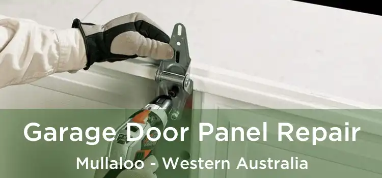 Garage Door Panel Repair Mullaloo - Western Australia