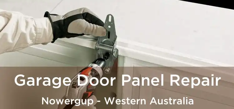 Garage Door Panel Repair Nowergup - Western Australia