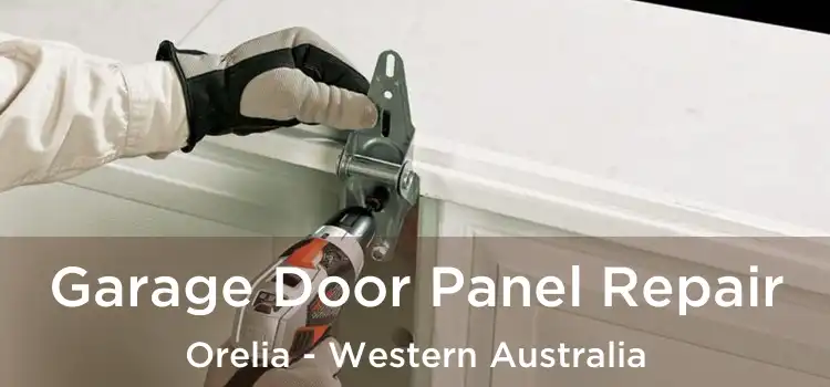 Garage Door Panel Repair Orelia - Western Australia