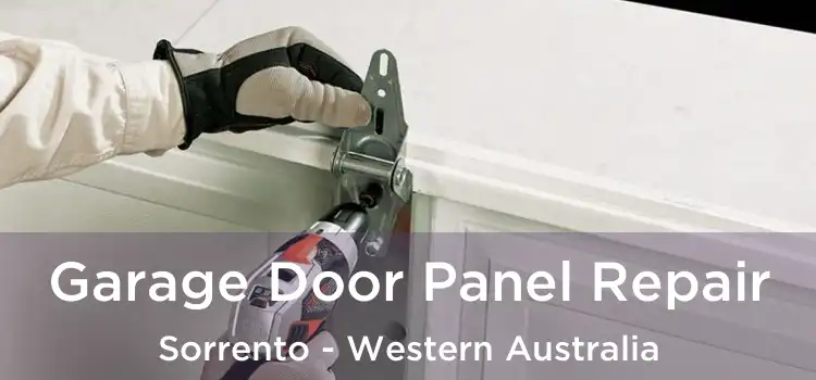 Garage Door Panel Repair Sorrento - Western Australia