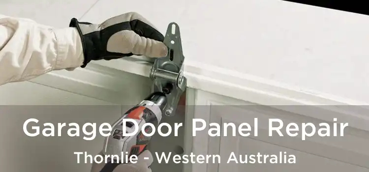 Garage Door Panel Repair Thornlie - Western Australia