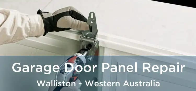 Garage Door Panel Repair Walliston - Western Australia