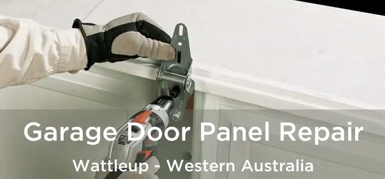 Garage Door Panel Repair Wattleup - Western Australia