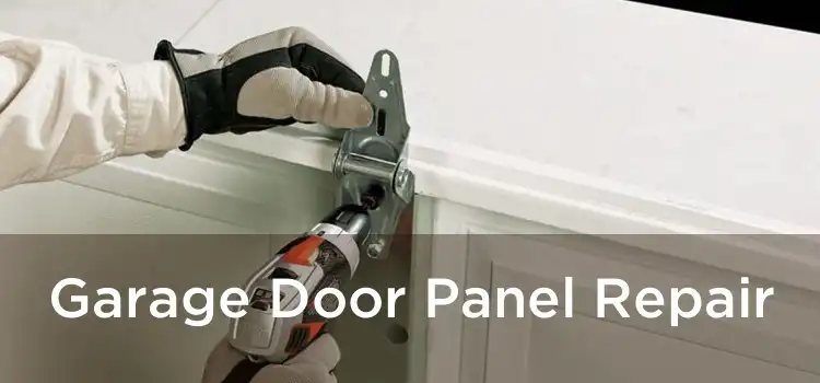 Garage Door Panel Repair