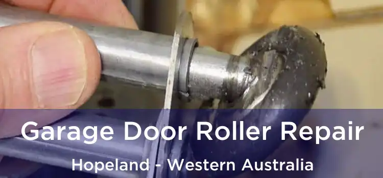 Garage Door Roller Repair Hopeland - Western Australia