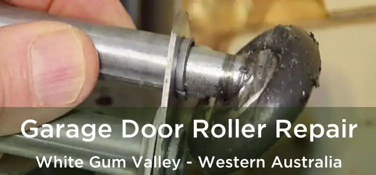 Garage Door Roller Repair White Gum Valley - Western Australia
