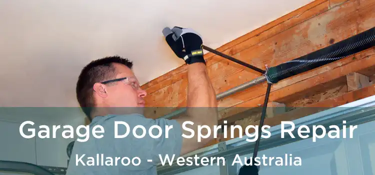 Garage Door Springs Repair Kallaroo - Western Australia