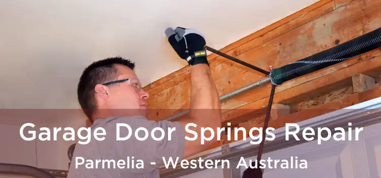 Garage Door Springs Repair Parmelia - Western Australia
