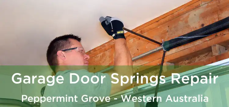 Garage Door Springs Repair Peppermint Grove - Western Australia