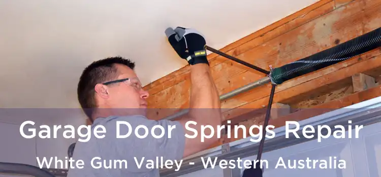 Garage Door Springs Repair White Gum Valley - Western Australia