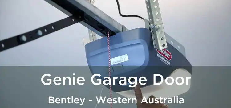 Genie Garage Door Bentley - Western Australia