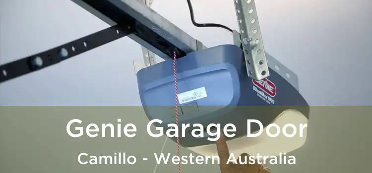 Genie Garage Door Camillo - Western Australia