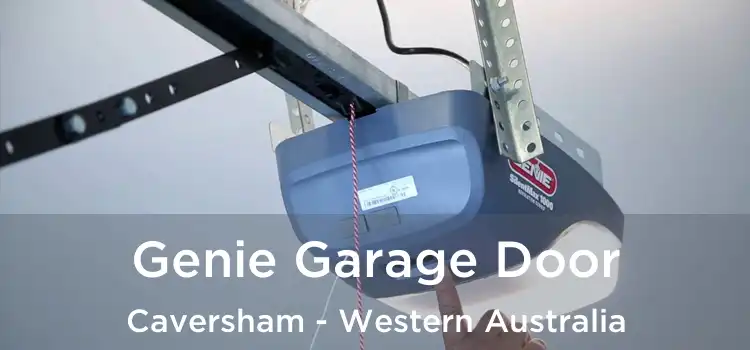 Genie Garage Door Caversham - Western Australia