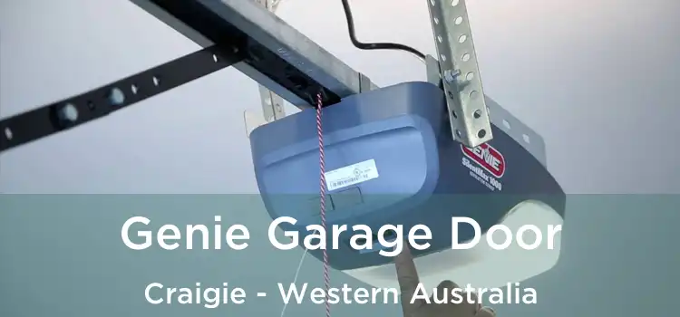 Genie Garage Door Craigie - Western Australia