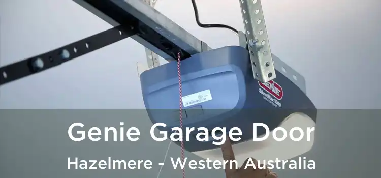 Genie Garage Door Hazelmere - Western Australia