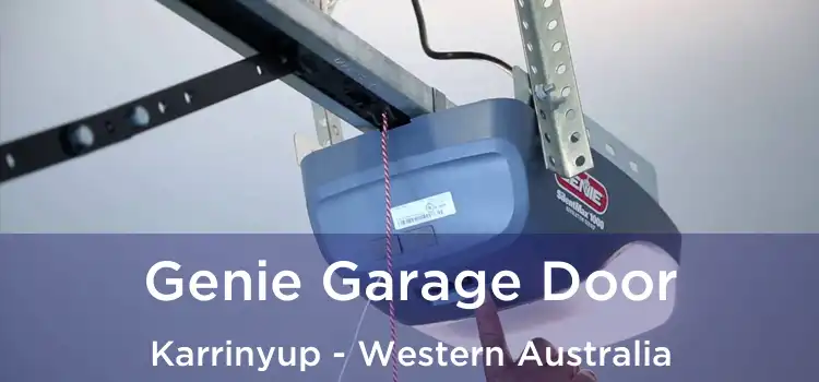 Genie Garage Door Karrinyup - Western Australia