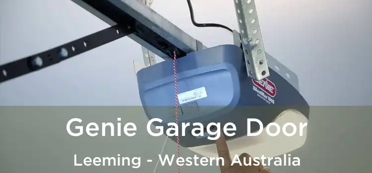 Genie Garage Door Leeming - Western Australia