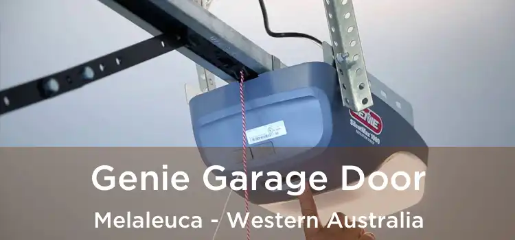 Genie Garage Door Melaleuca - Western Australia