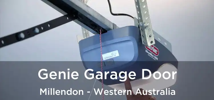 Genie Garage Door Millendon - Western Australia
