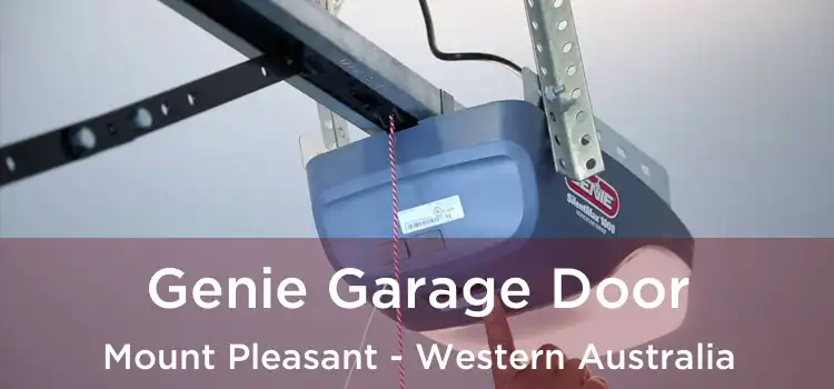 Genie Garage Door Mount Pleasant - Western Australia
