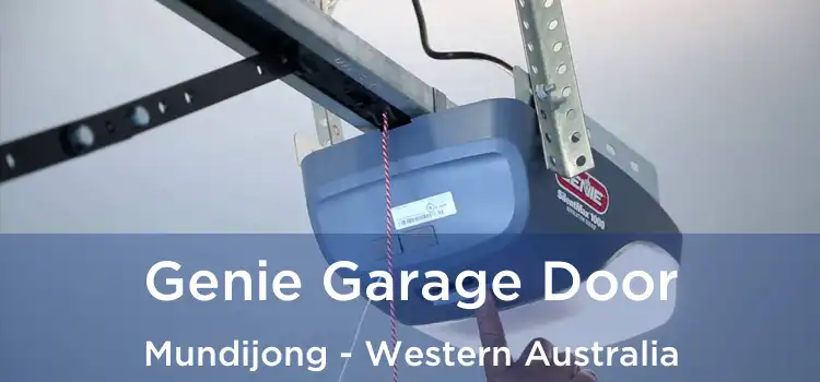 Genie Garage Door Mundijong - Western Australia