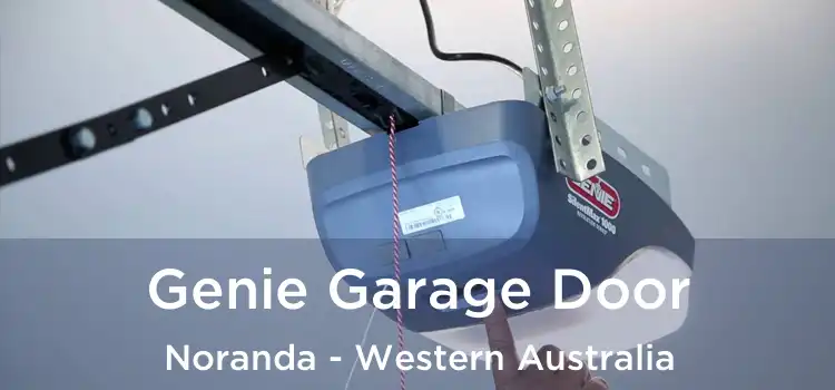 Genie Garage Door Noranda - Western Australia