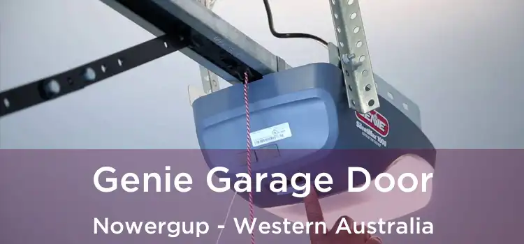 Genie Garage Door Nowergup - Western Australia