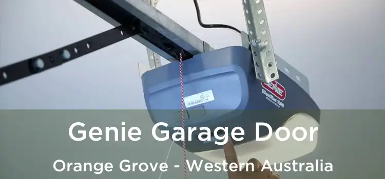 Genie Garage Door Orange Grove - Western Australia