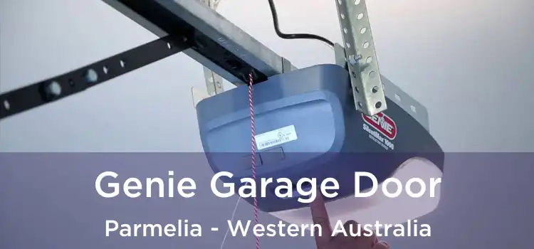 Genie Garage Door Parmelia - Western Australia