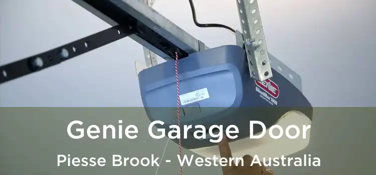 Genie Garage Door Piesse Brook - Western Australia