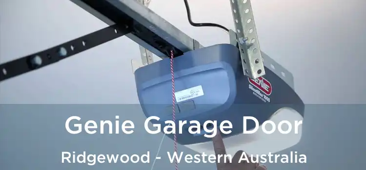 Genie Garage Door Ridgewood - Western Australia