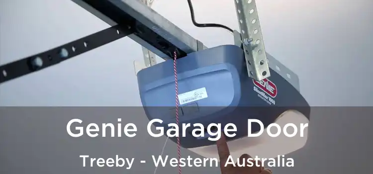 Genie Garage Door Treeby - Western Australia