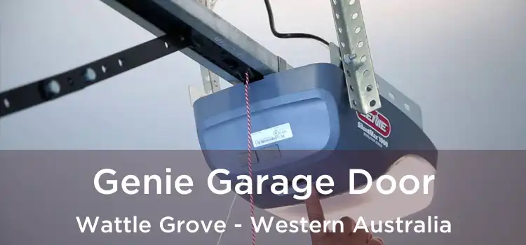 Genie Garage Door Wattle Grove - Western Australia