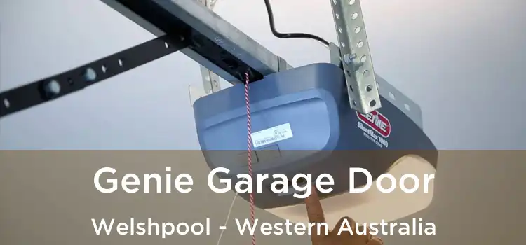 Genie Garage Door Welshpool - Western Australia