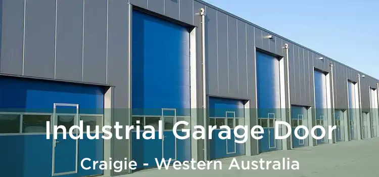 Industrial Garage Door Craigie - Western Australia